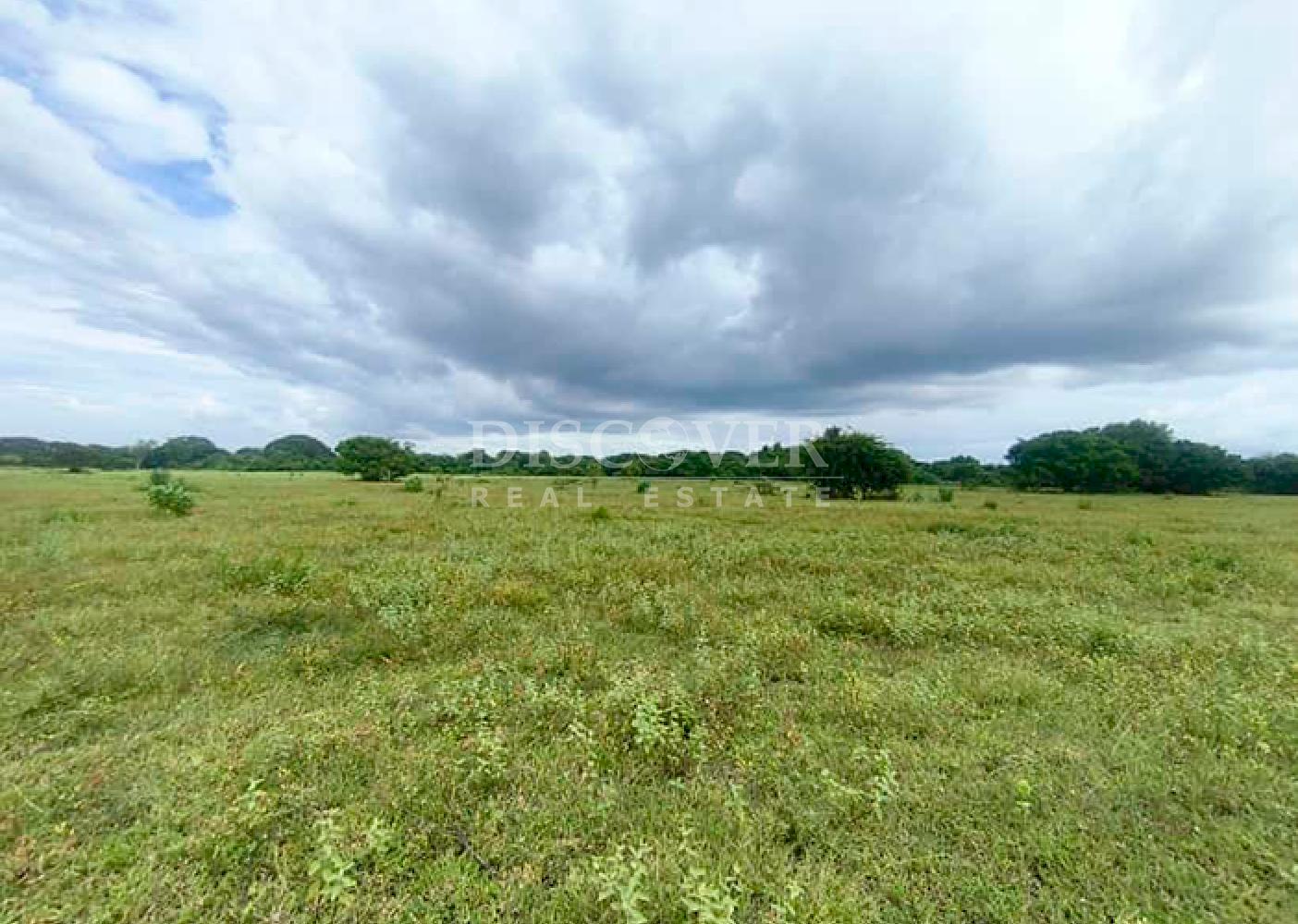 Large plot of land for sale in Veracruz 