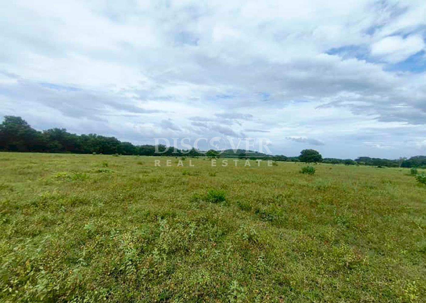 Large plot of land for sale in Veracruz 
