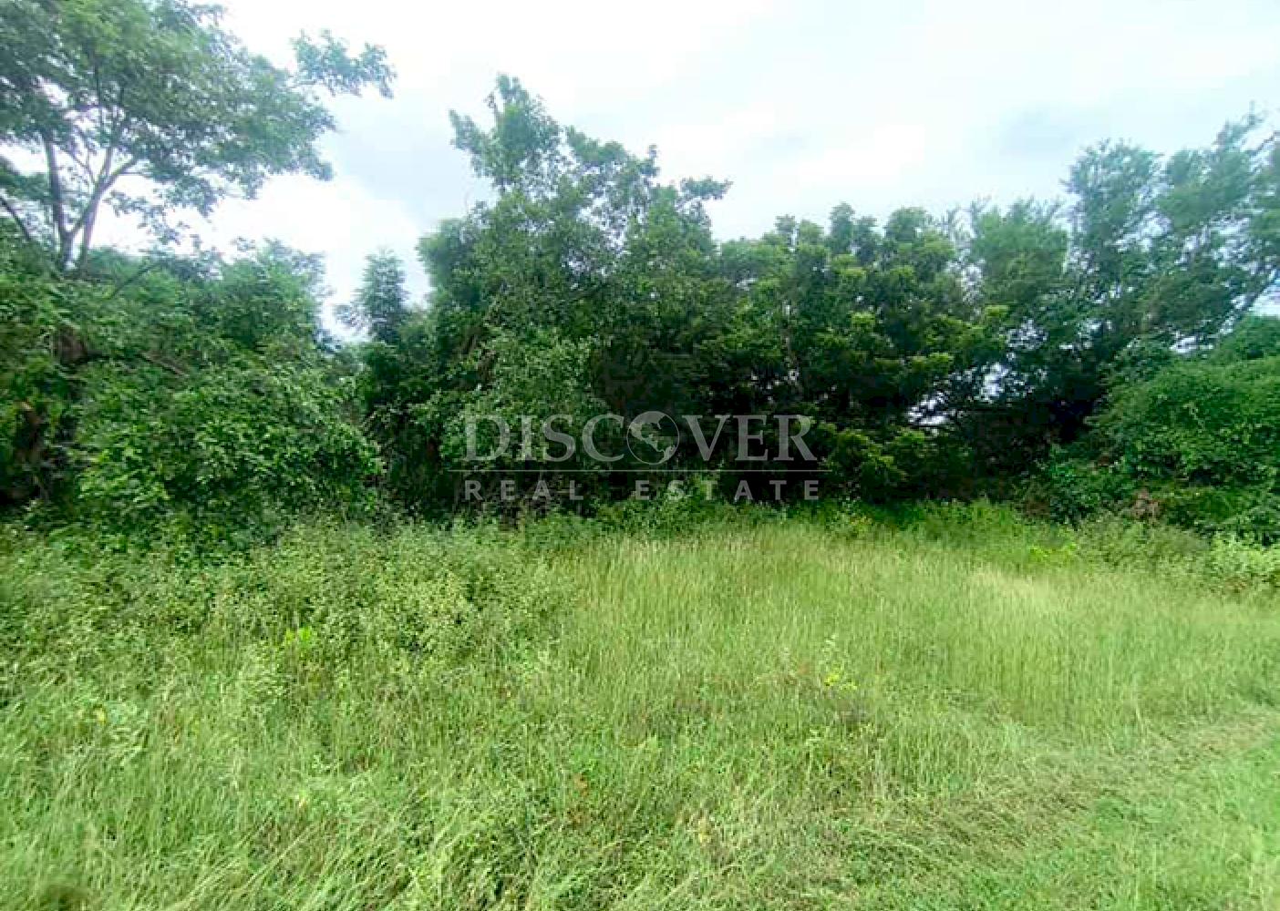Large plot of land for sale in Veracruz 