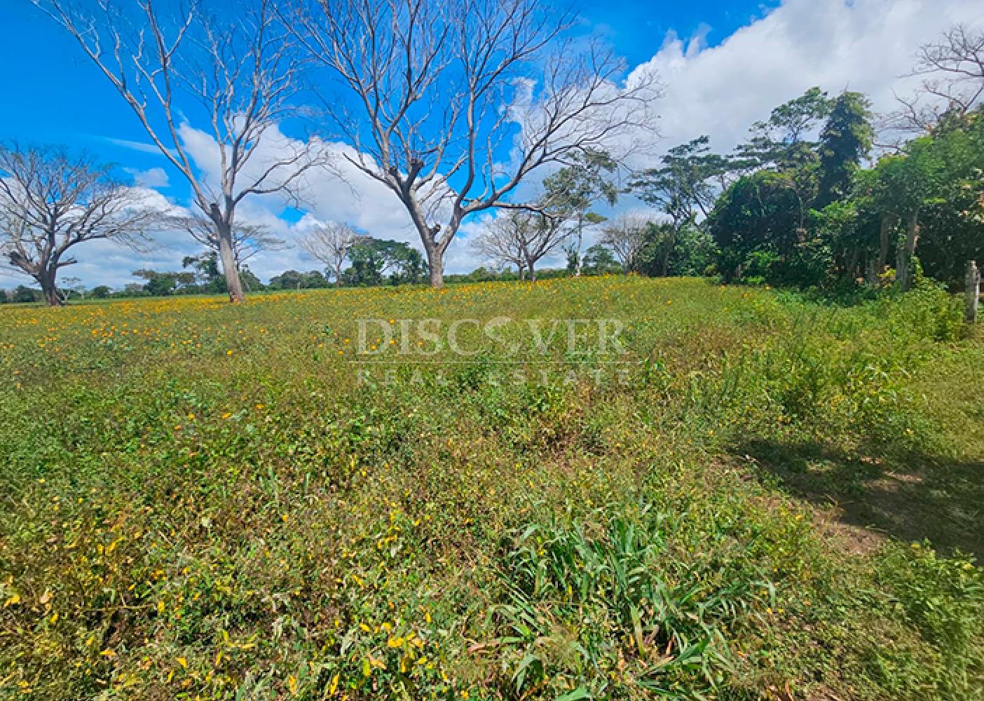  Completely flat land for sale in Diriamba