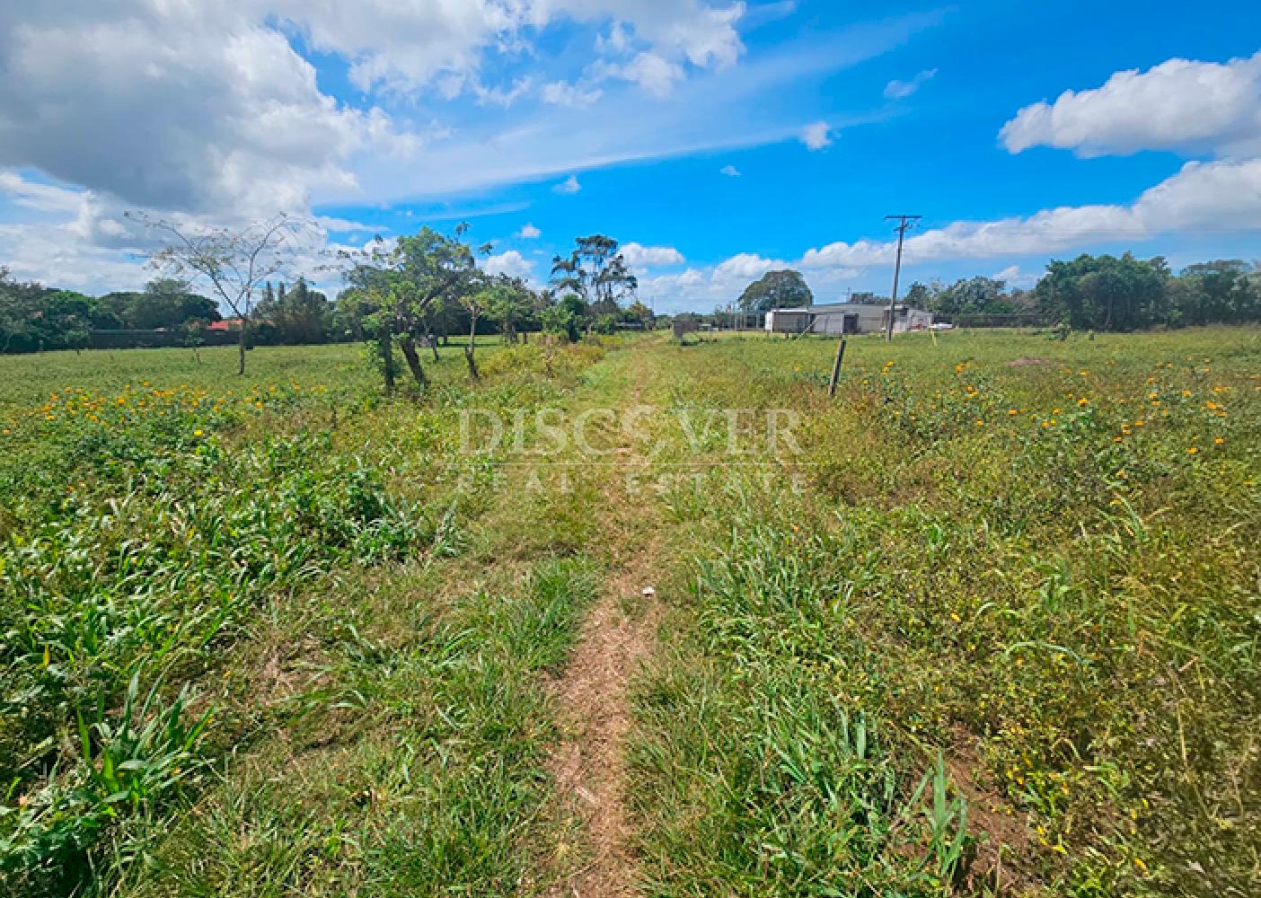  Completely flat land for sale in Diriamba