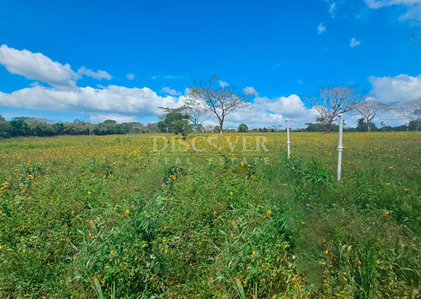  Completely flat land for sale in Diriamba