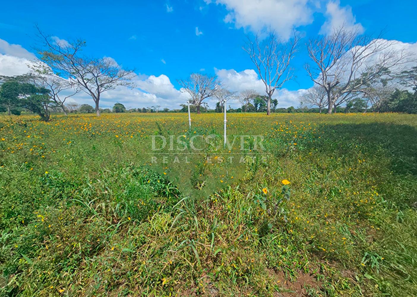  Completely flat land for sale in Diriamba
