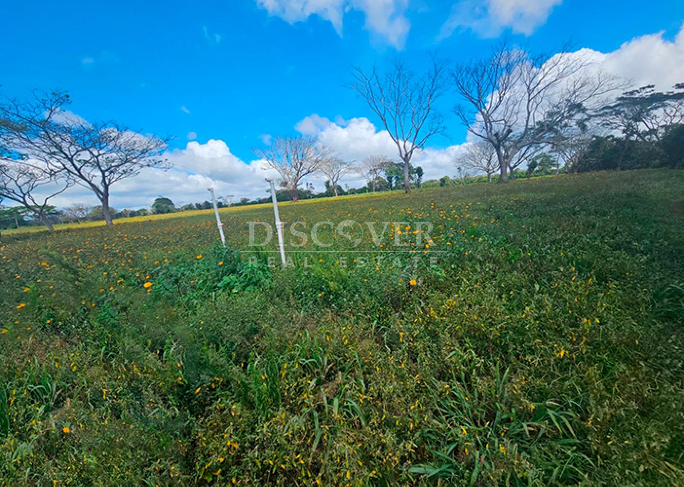  Completely flat land for sale in Diriamba