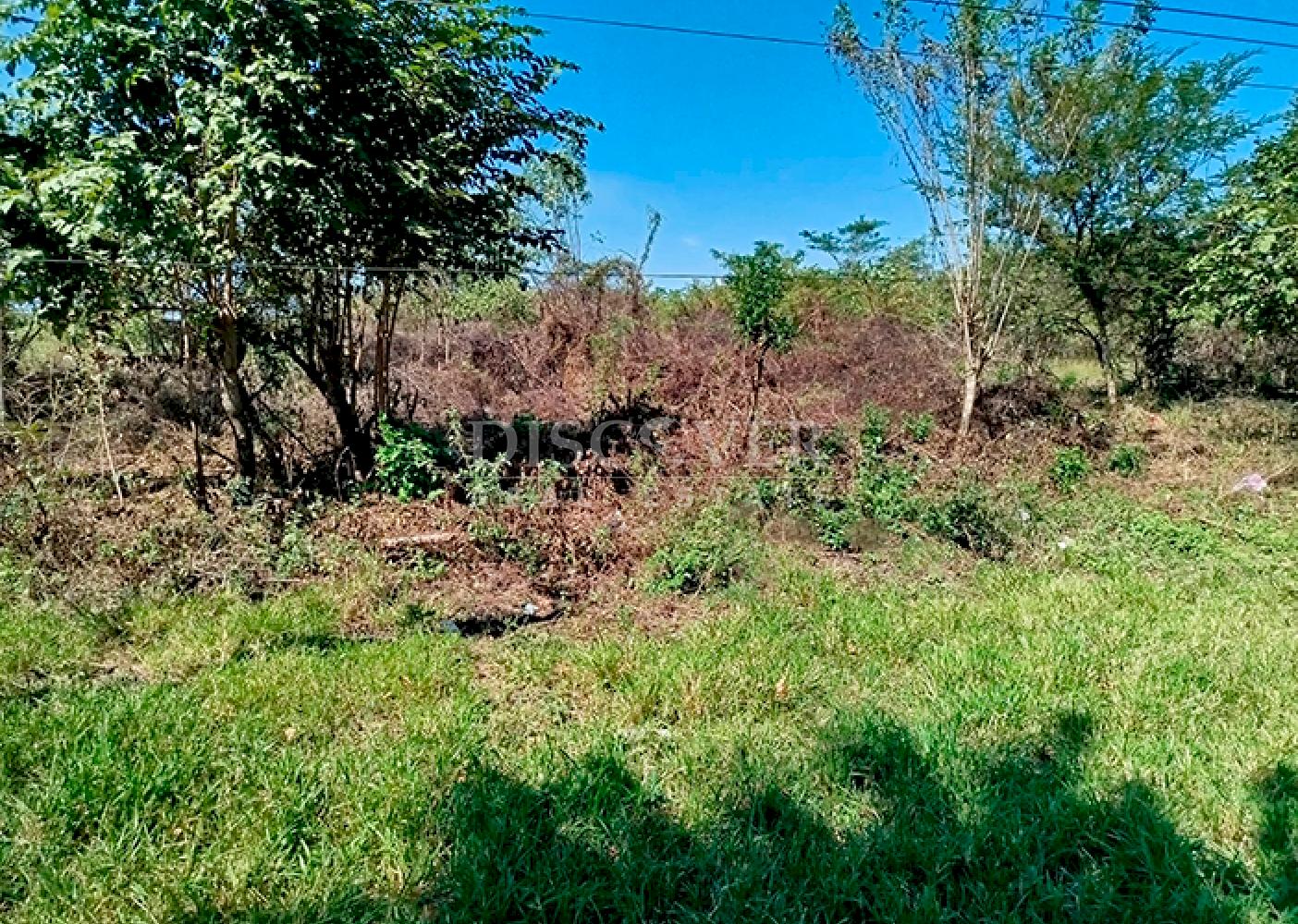 Land for Sale Corinto Highway