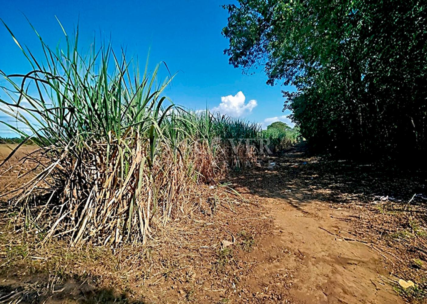  Land for Sale Corinto Highway