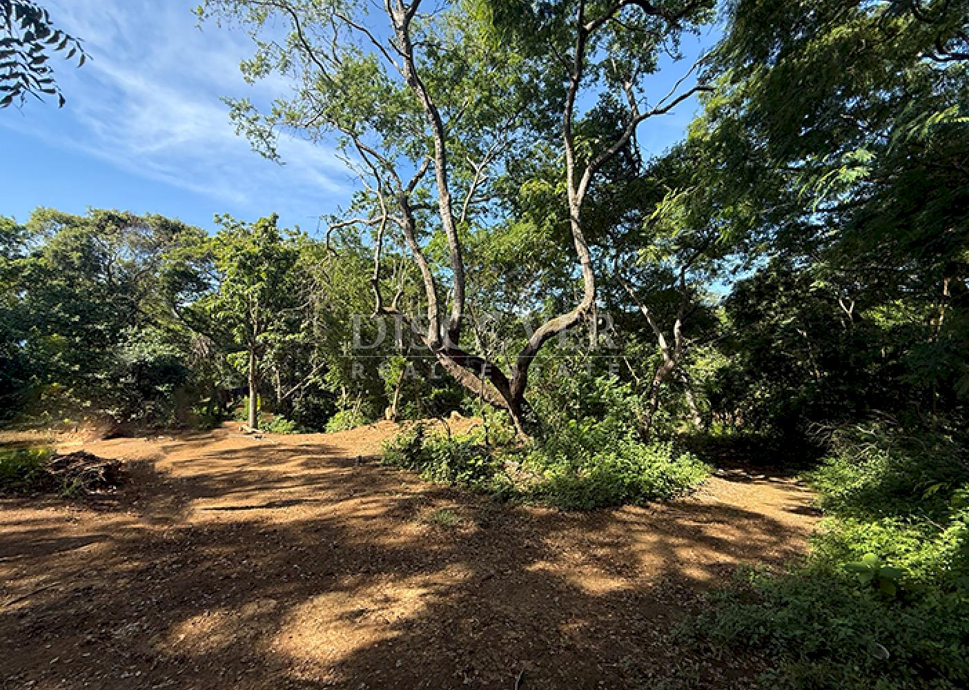 Land for sale in San Isidro de la Cruz Verde 