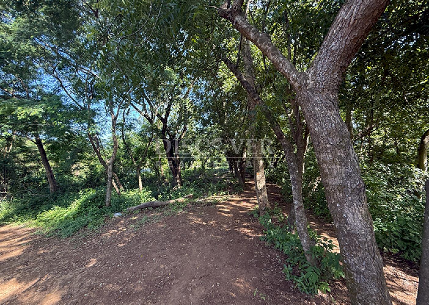 Land for sale in San Isidro de la Cruz Verde 