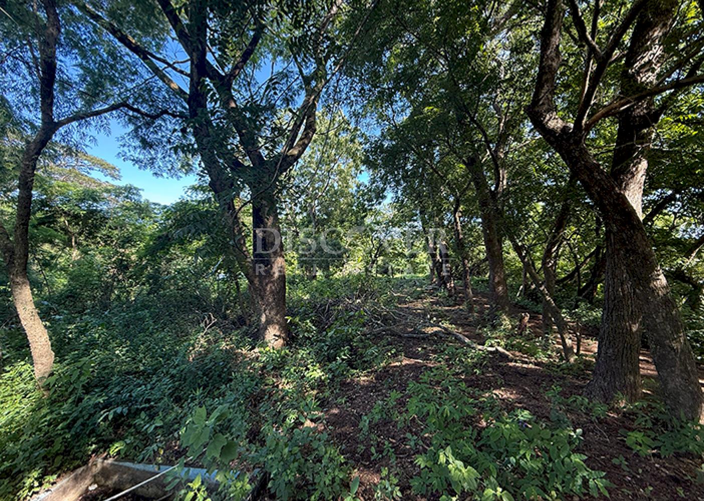 Land for sale in San Isidro de la Cruz Verde 