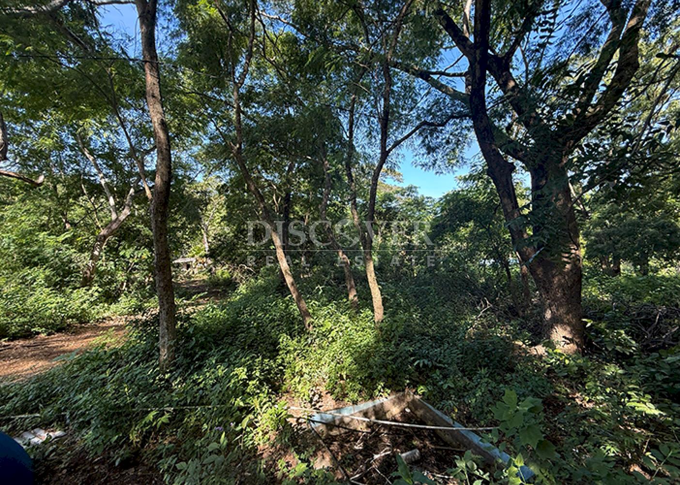 Land for sale in San Isidro de la Cruz Verde 