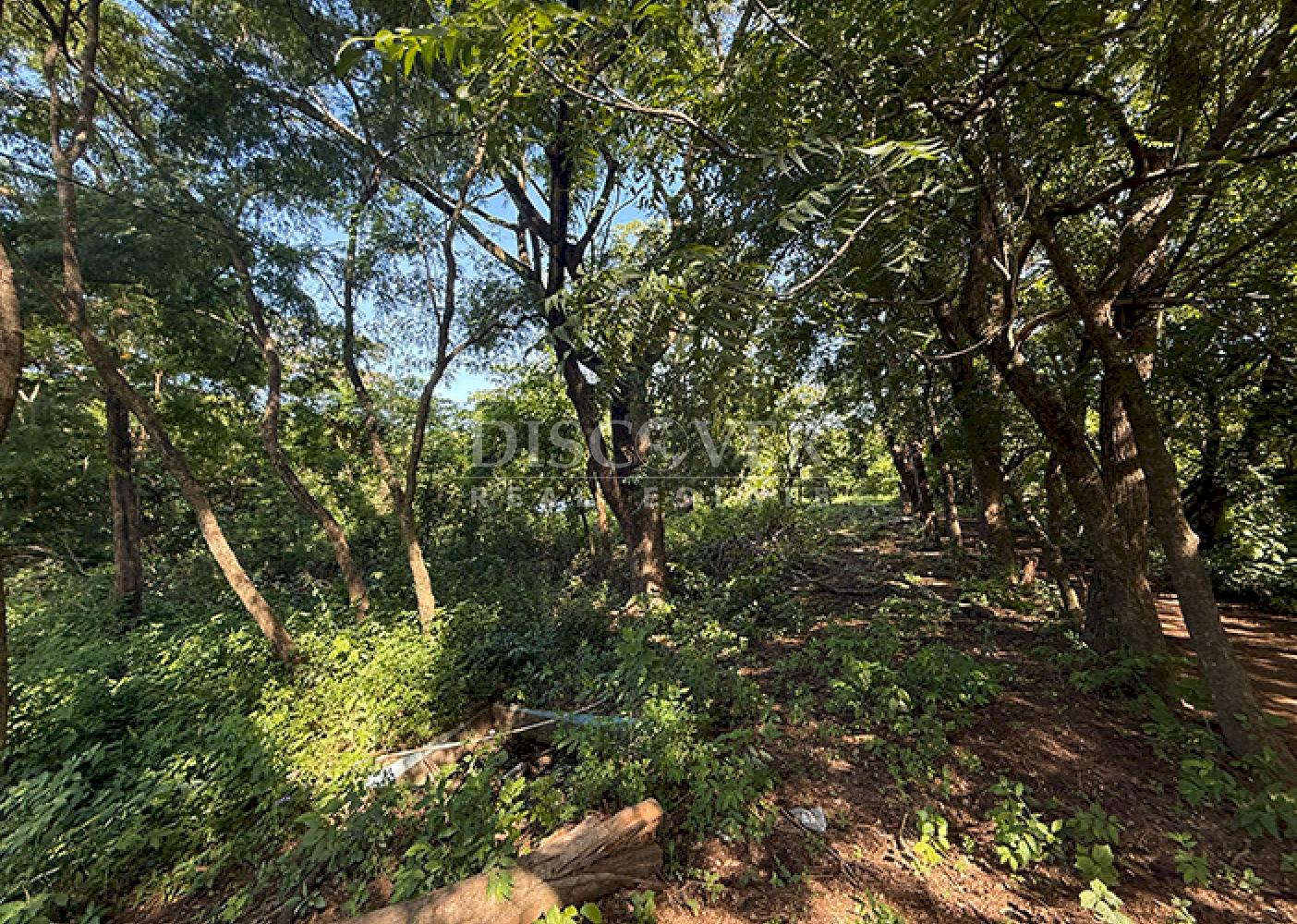 Land for sale in San Isidro de la Cruz Verde 