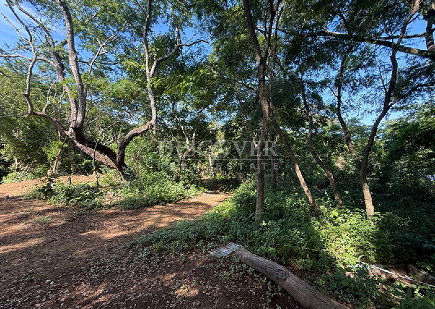 Land for sale in San Isidro de la Cruz Verde 