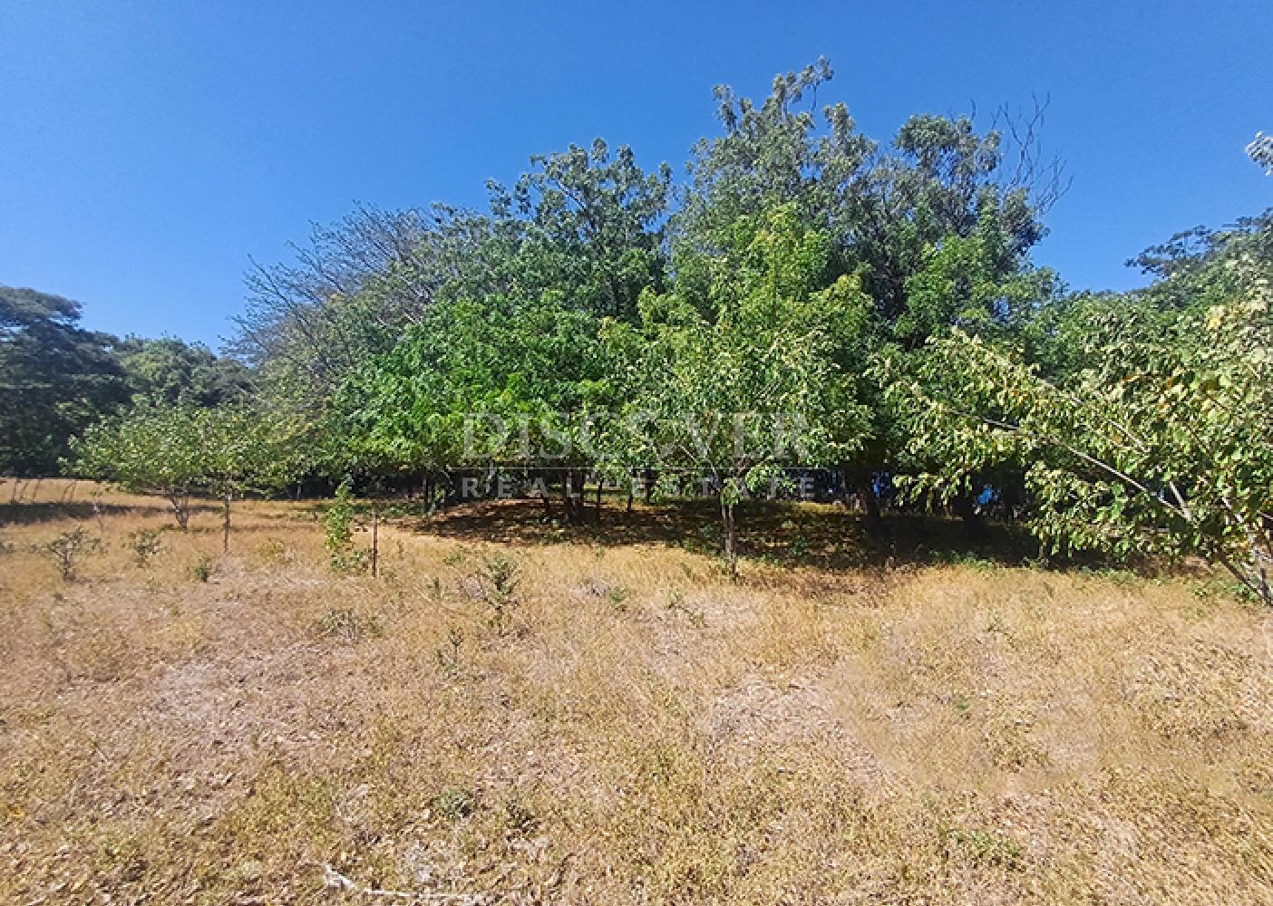  Land with industrial potential for sale on the road to Xiloá