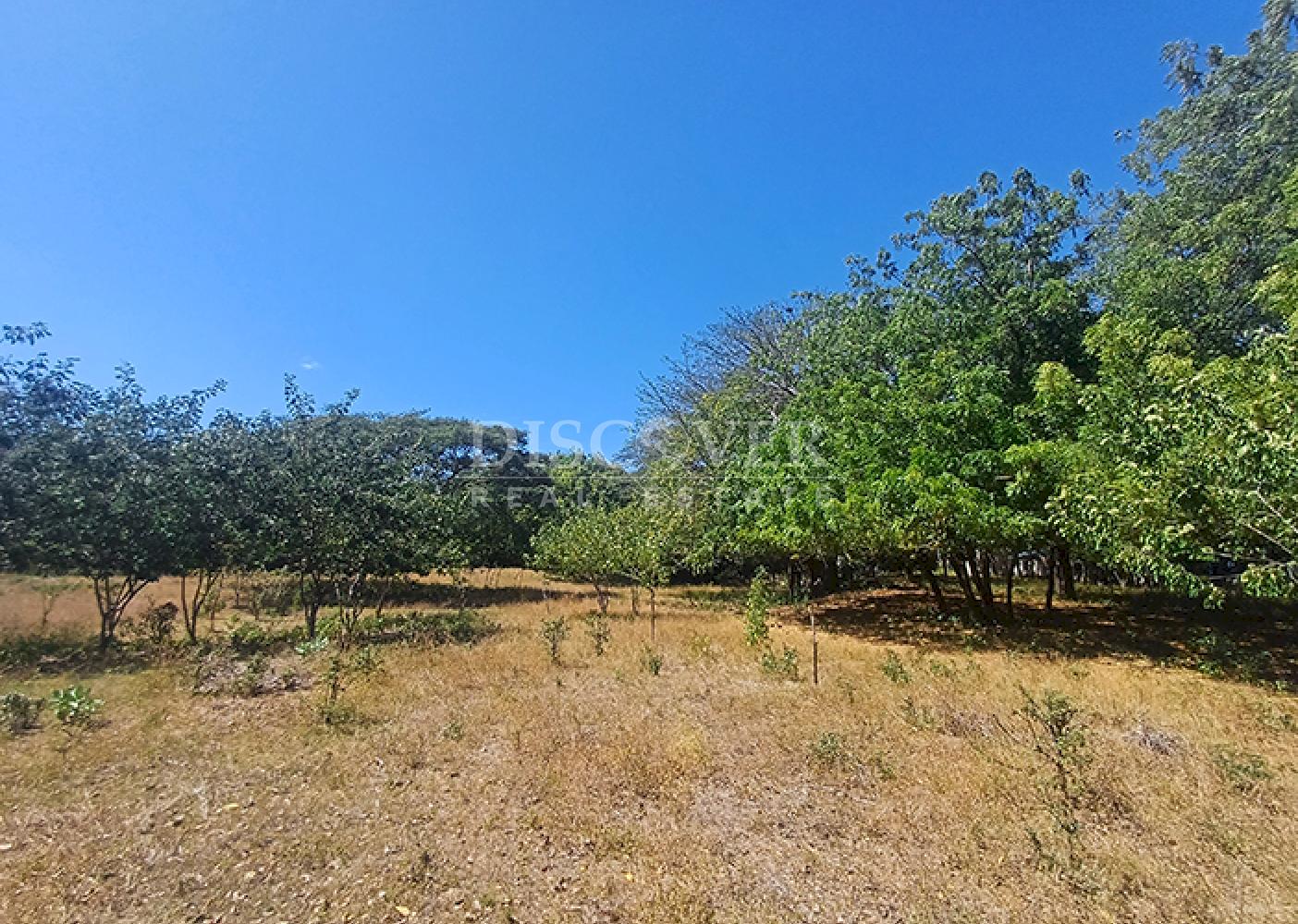  Land with industrial potential for sale on the road to Xiloá