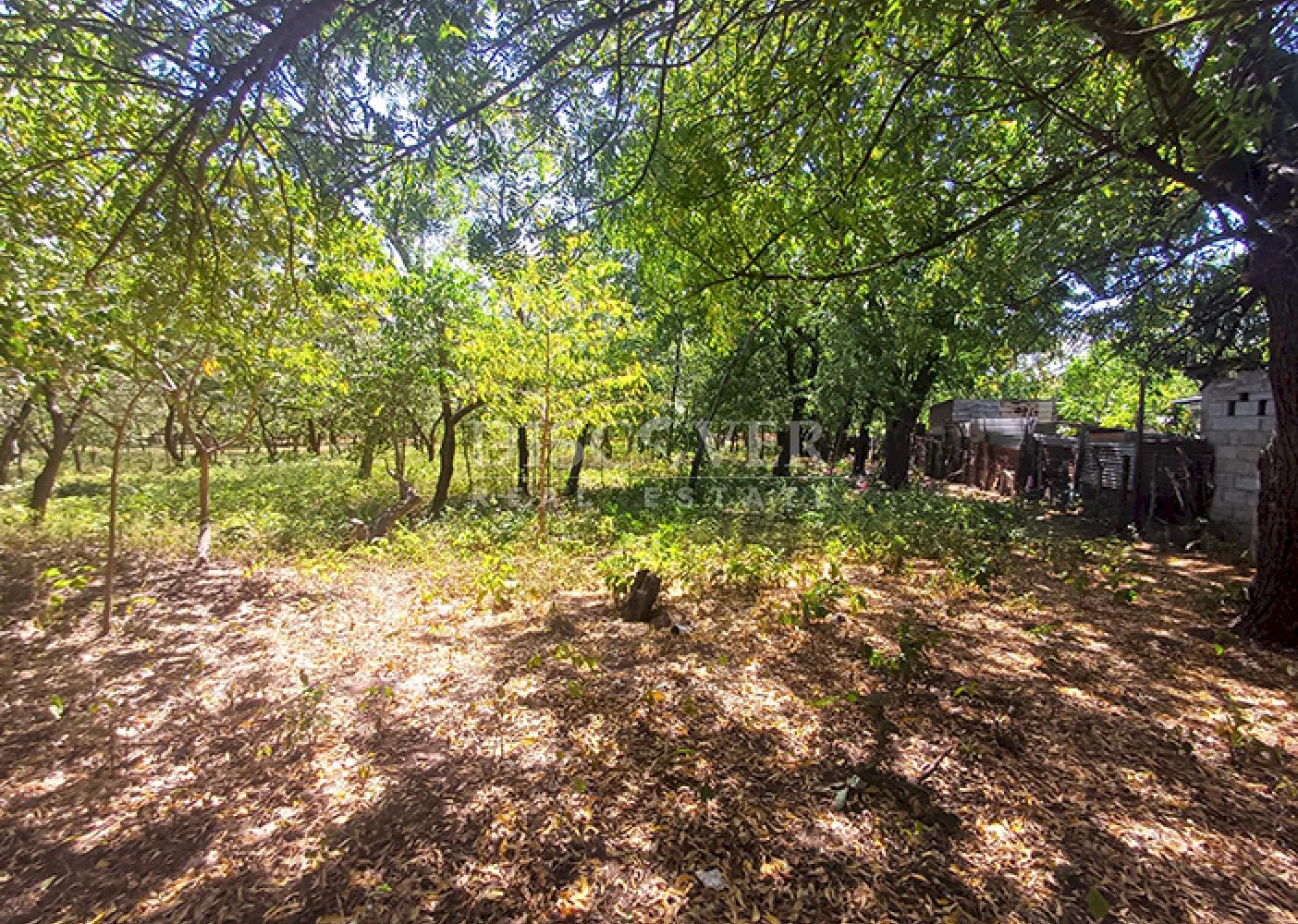  Land with industrial potential for sale on the road to Xiloá