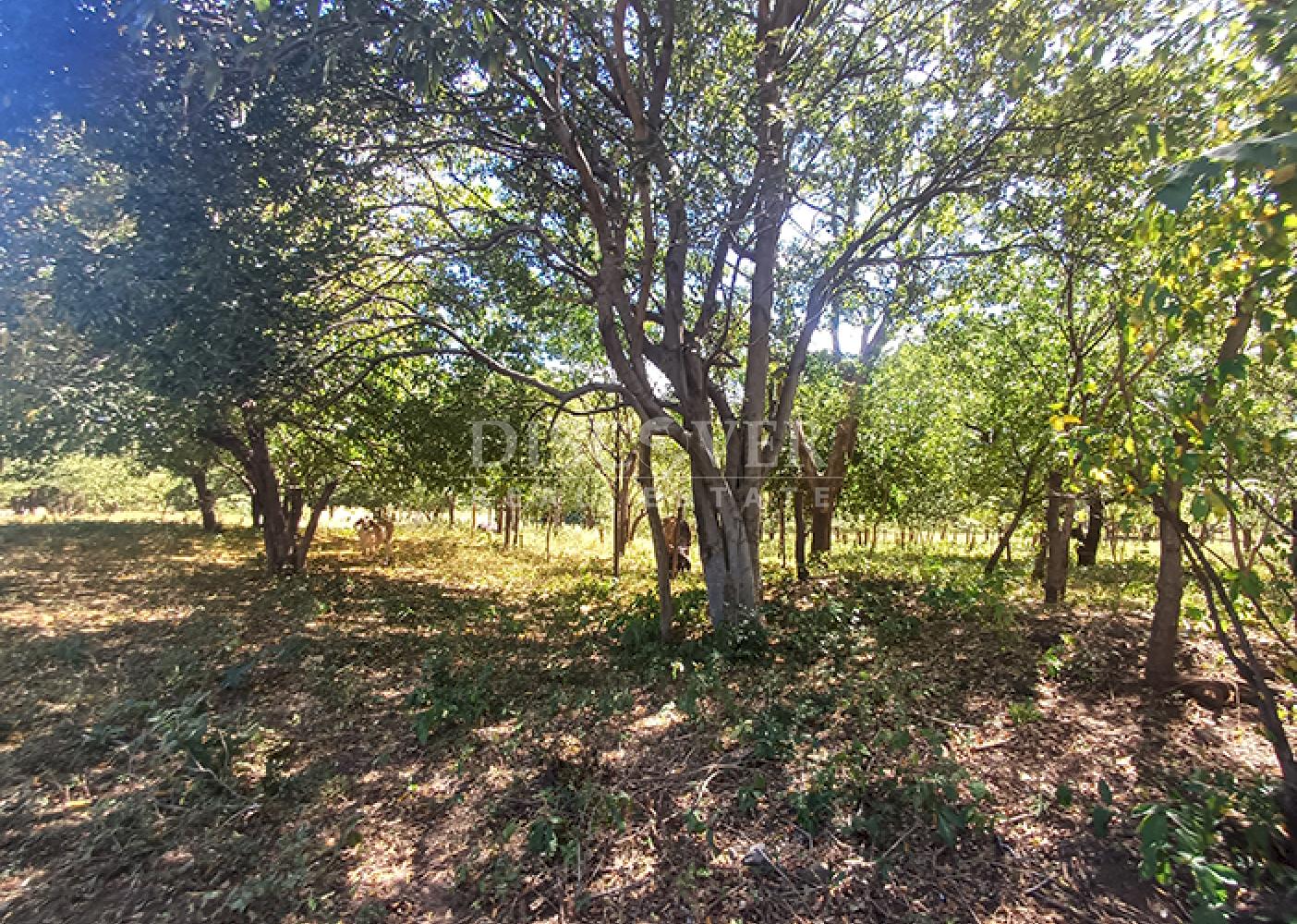  Land with industrial potential for sale on the road to Xiloá