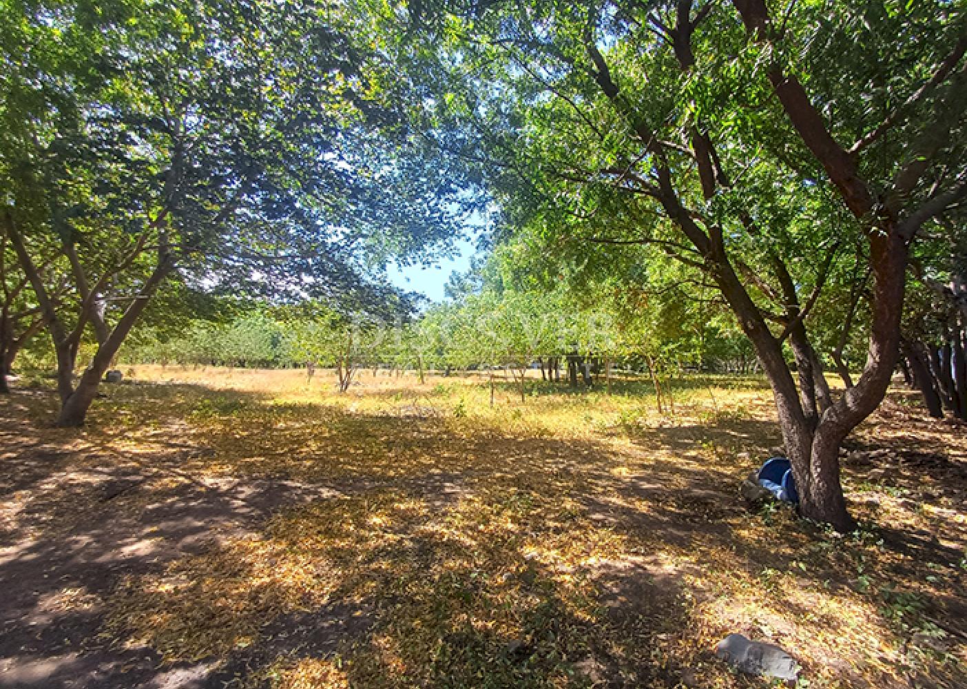  Land with industrial potential for sale on the road to Xiloá