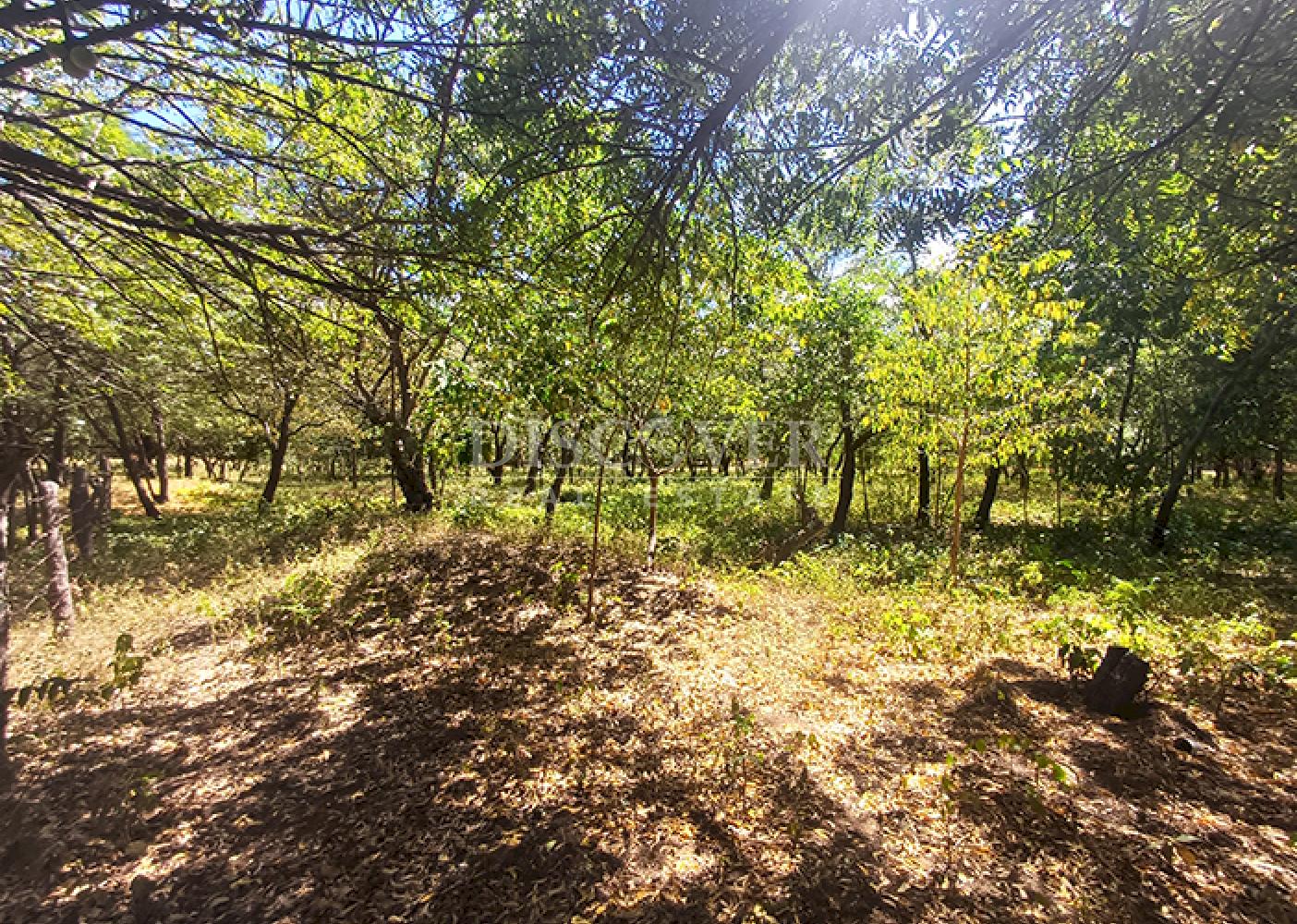 Land for sale, ideal for a warehouse or factory, on the road to Xiloá