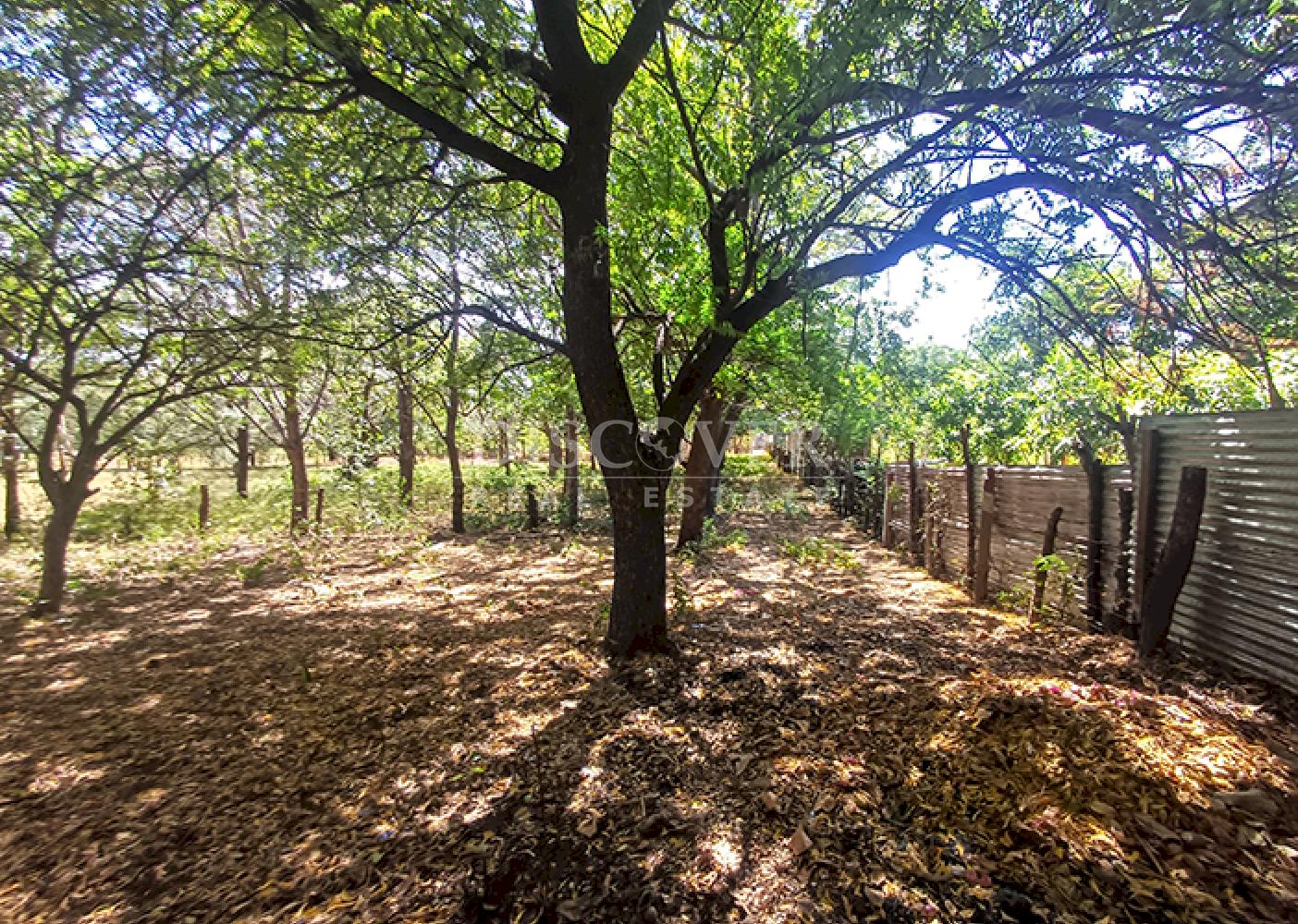 Land for sale, ideal for a warehouse or factory, on the road to Xiloá