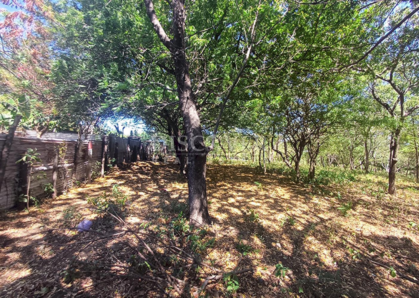 Land for sale, ideal for a warehouse or factory, on the road to Xiloá