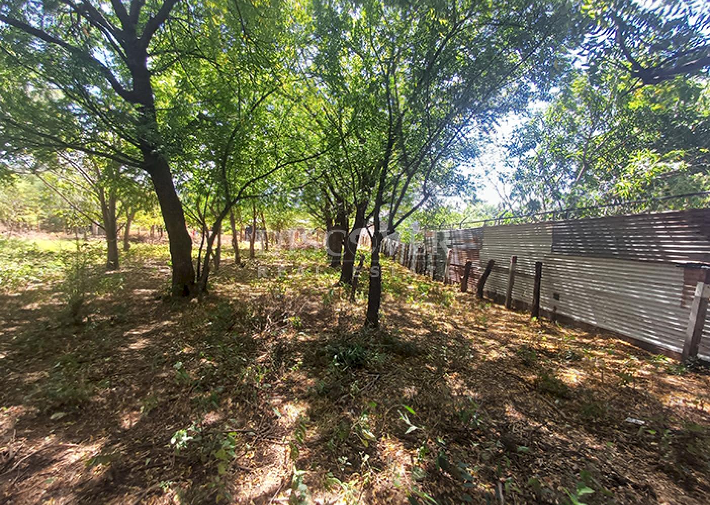 Land for sale, ideal for a warehouse or factory, on the road to Xiloá