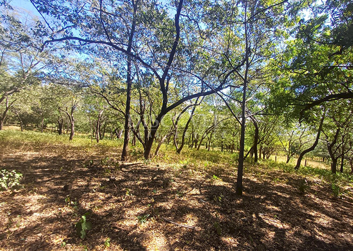 Land for sale, ideal for a warehouse or factory, on the road to Xiloá