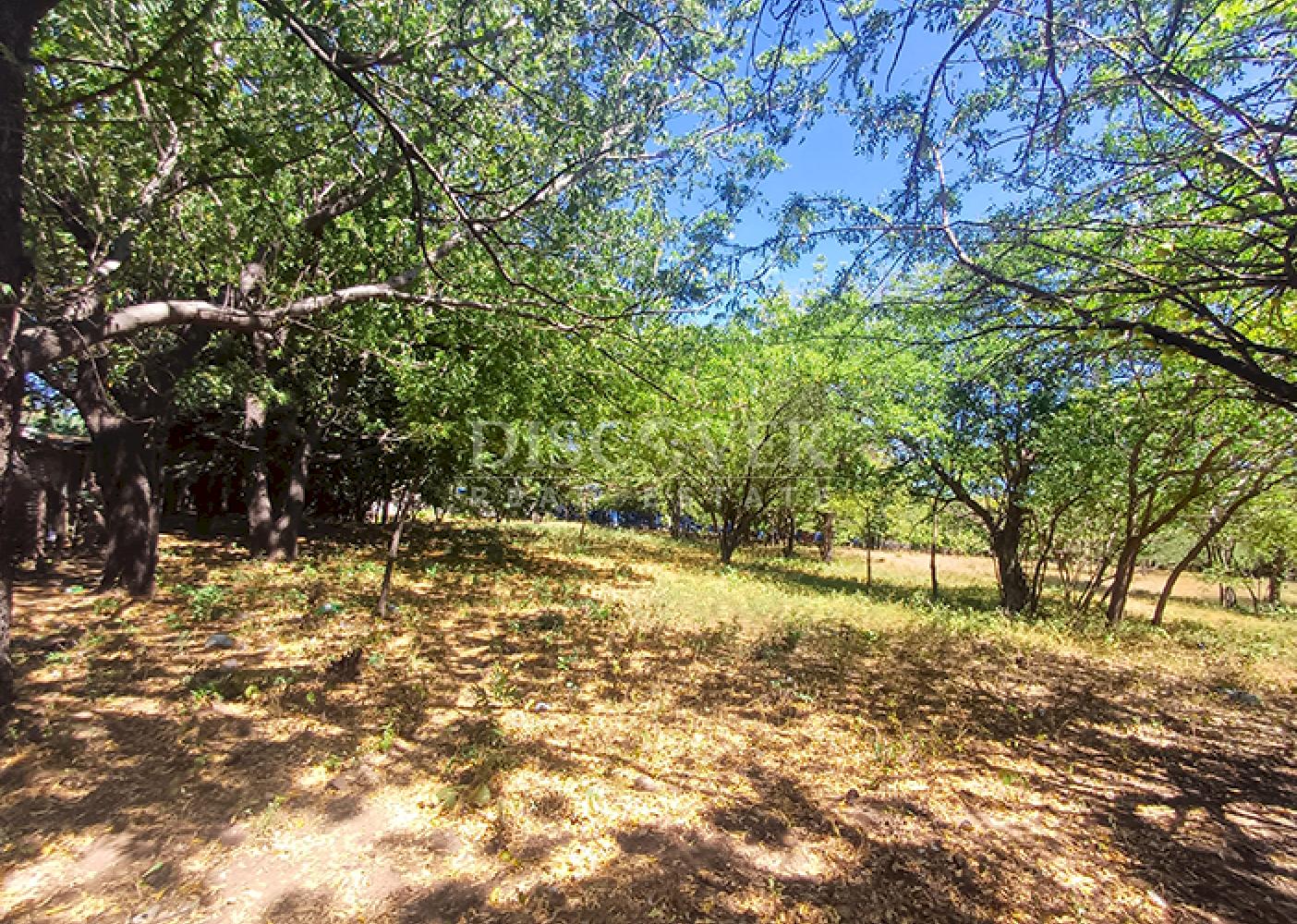 Land for sale, ideal for a warehouse or factory, on the road to Xiloá