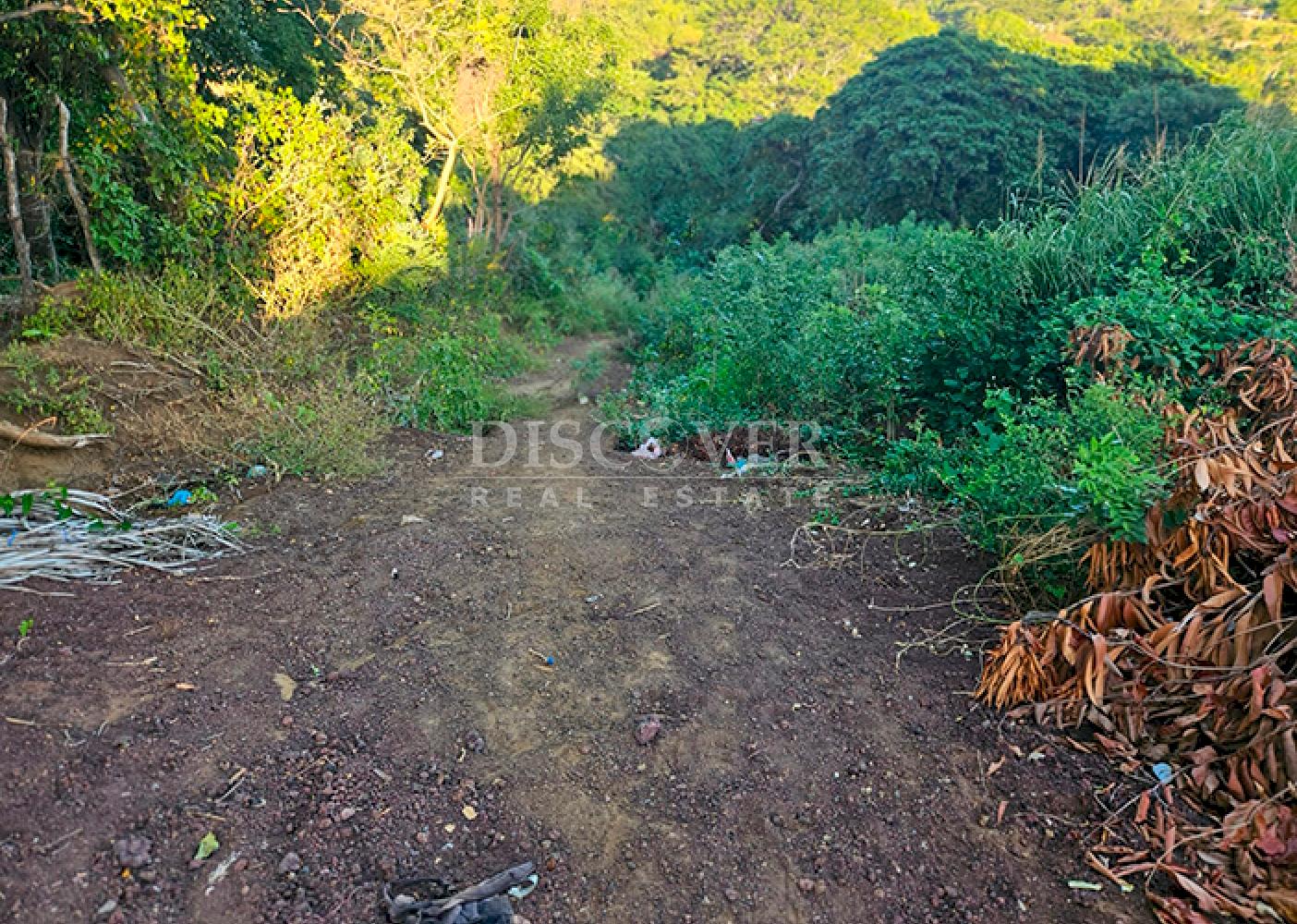 Land for sale in San Isidro de Bolas