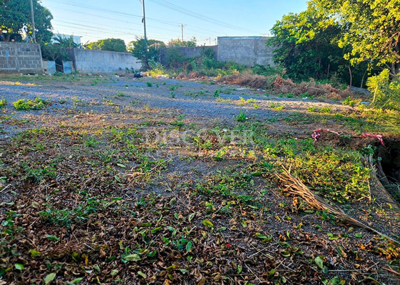  Land for sale in San Isidro de Bolas