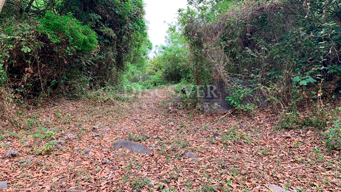 Farmhouse surrounded by nature for sale in Granada