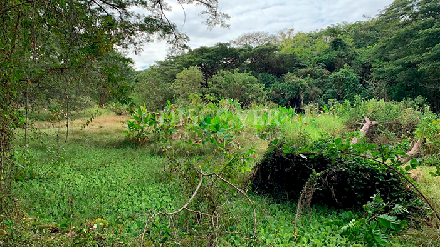 Farmhouse surrounded by nature for sale in Granada