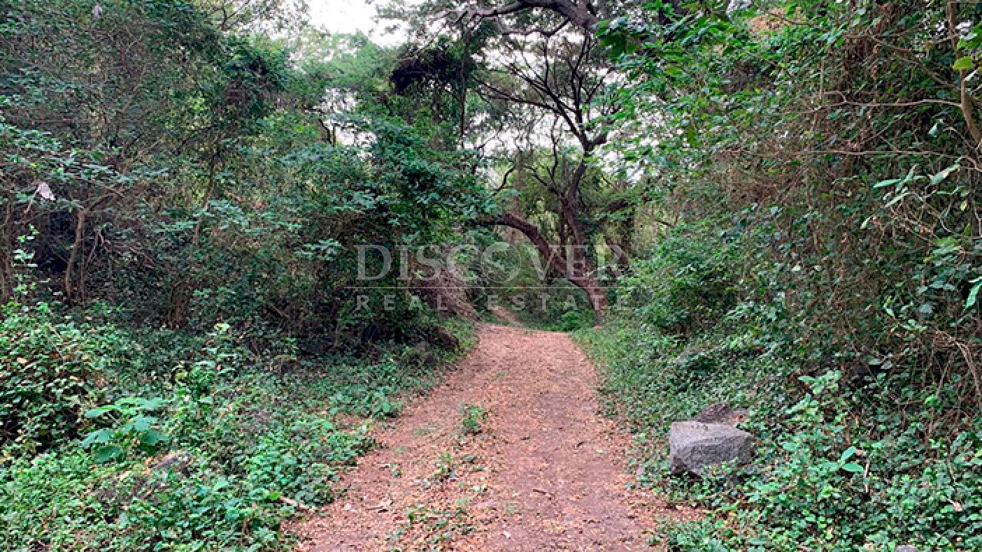 Farmhouse surrounded by nature for sale in Granada