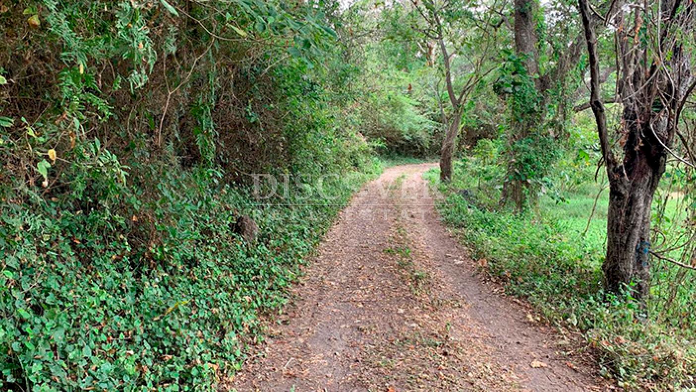 Farmhouse surrounded by nature for sale in Granada