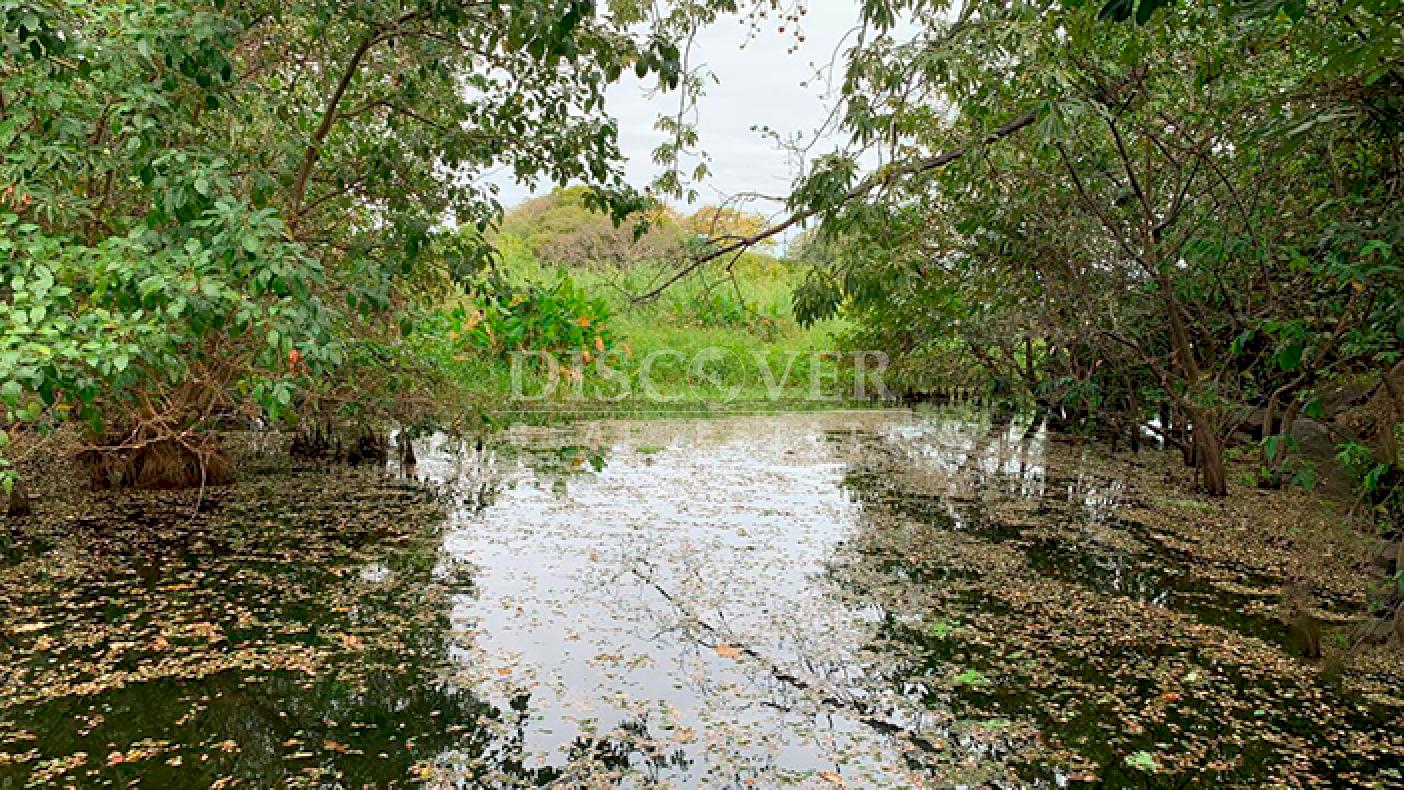 Farmhouse surrounded by nature for sale in Granada