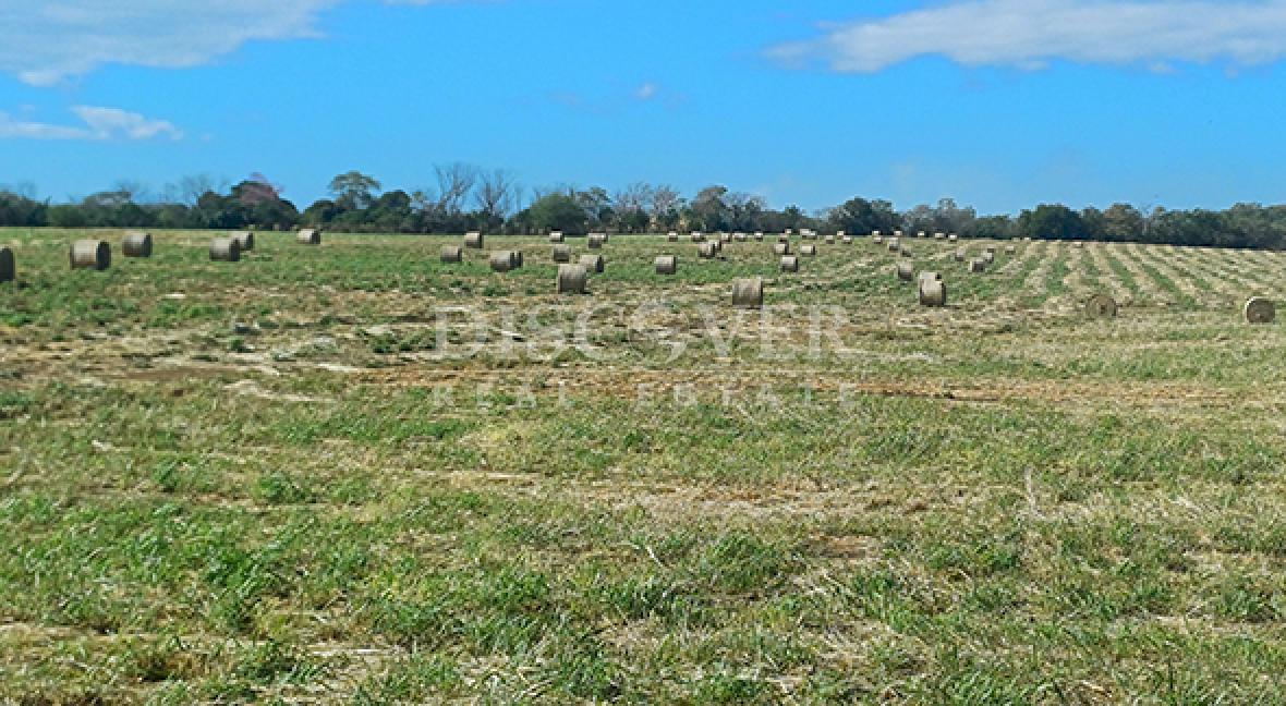 Land for sale, ideal for development on the Masaya to Tipitapa highway 