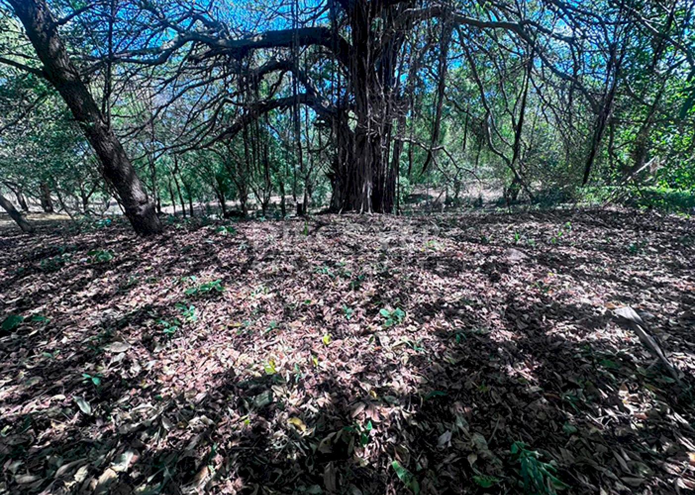 Land for sale in residential area of Santo Domingo