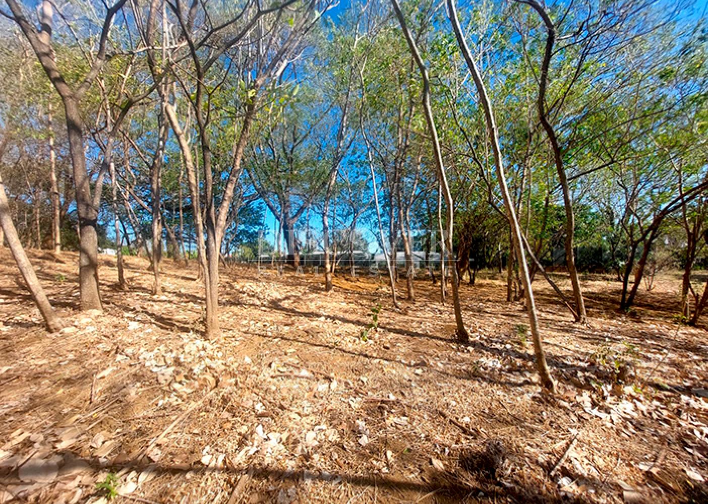 Land for sale in a condominium in Santo Domingo 