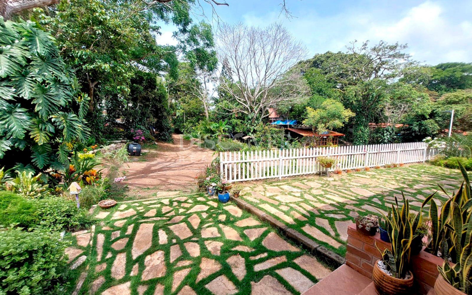 Imagen 4 de la galería