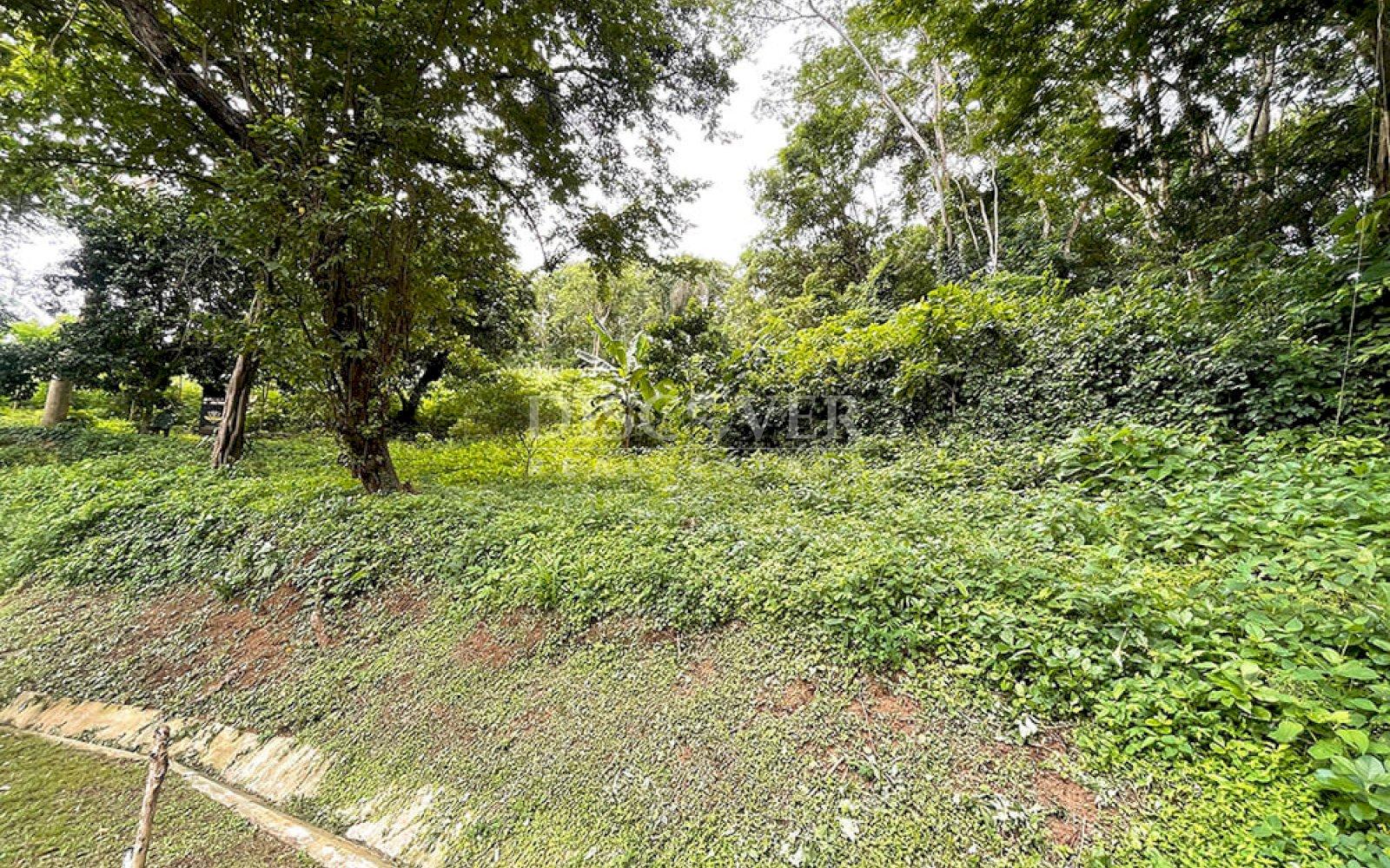  Land for sale in Villa Fontana