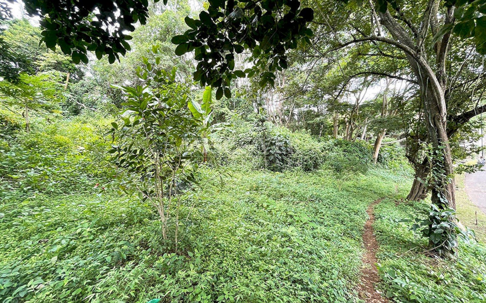  Land for sale in Villa Fontana