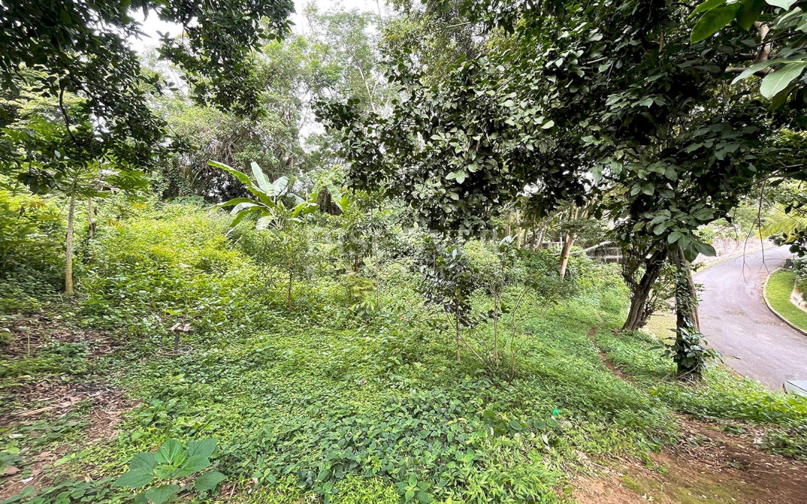  Land for sale in Villa Fontana