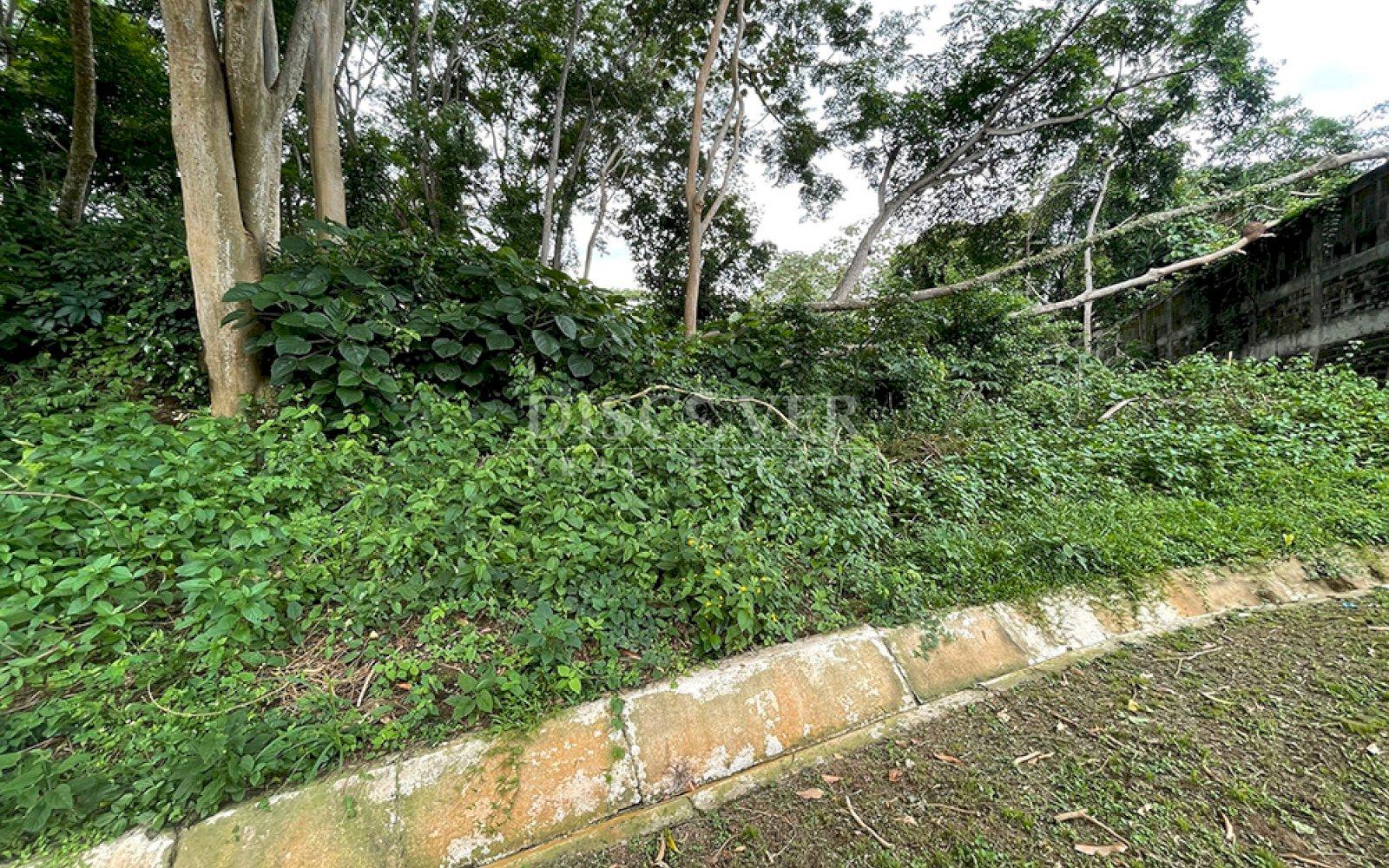https://images.discovernica.com/propiedad/1600/ID2907.jpg
