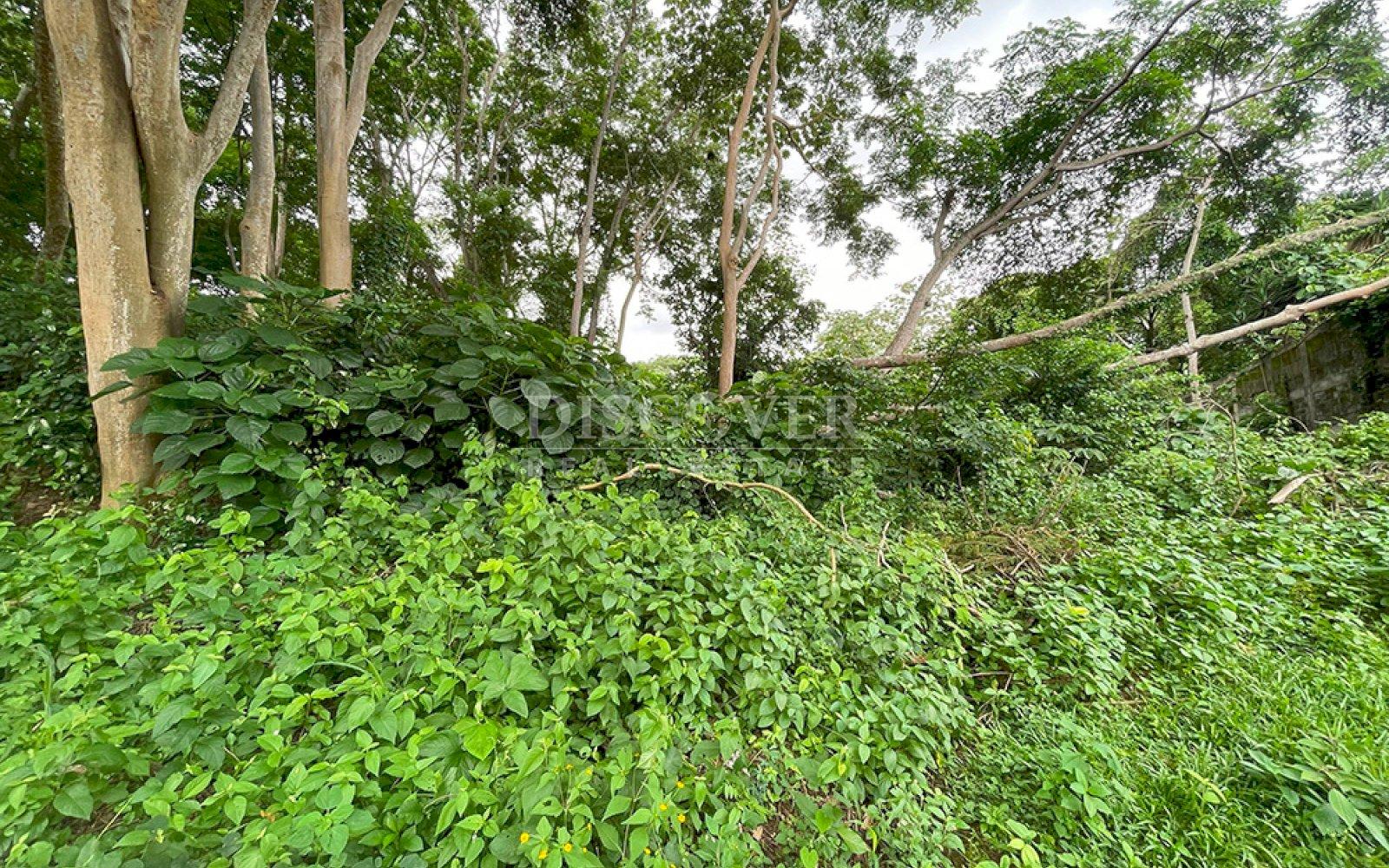 https://images.discovernica.com/propiedad/1600/ID2907_1.jpg