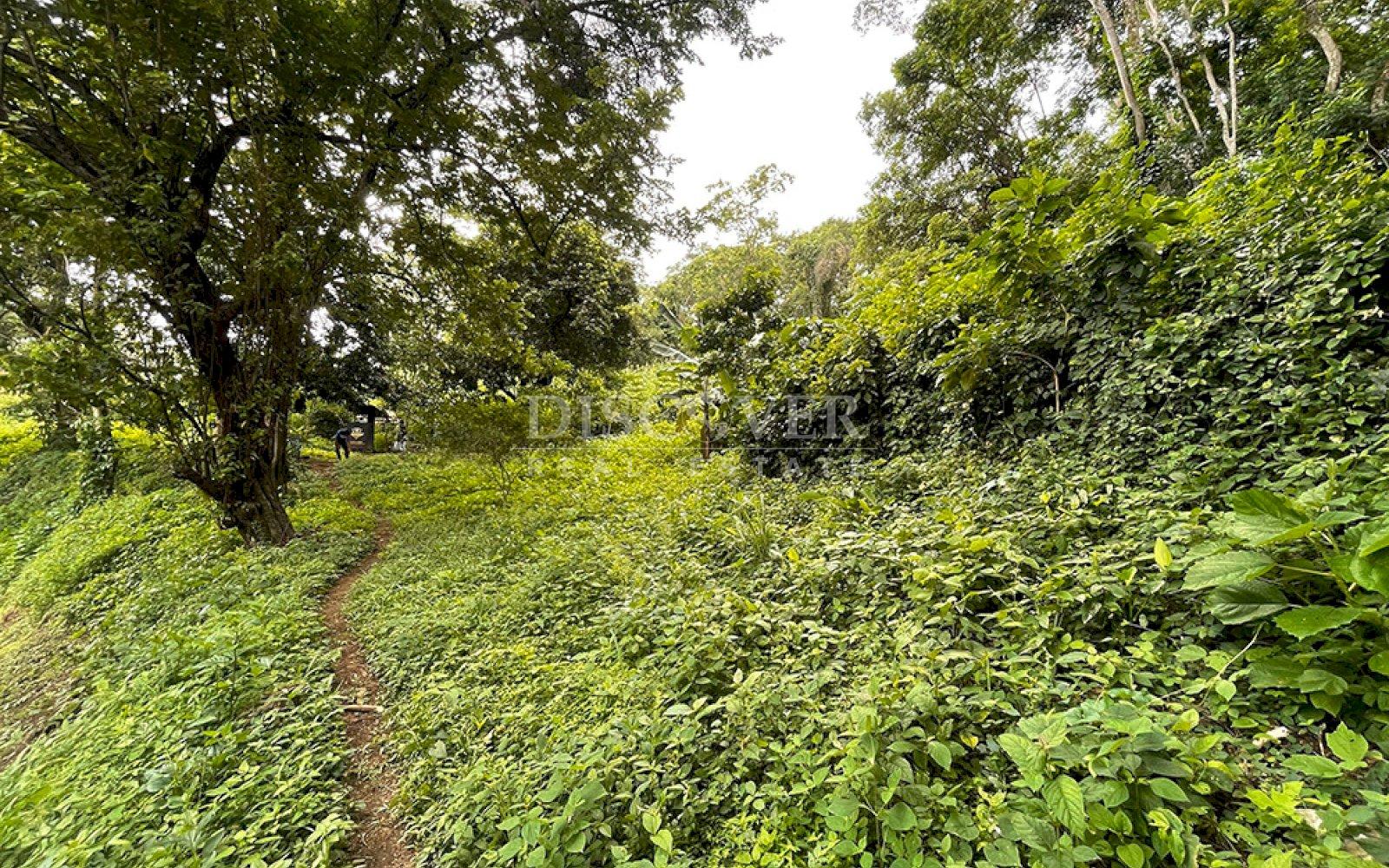 https://images.discovernica.com/propiedad/1600/ID2907_2.jpg