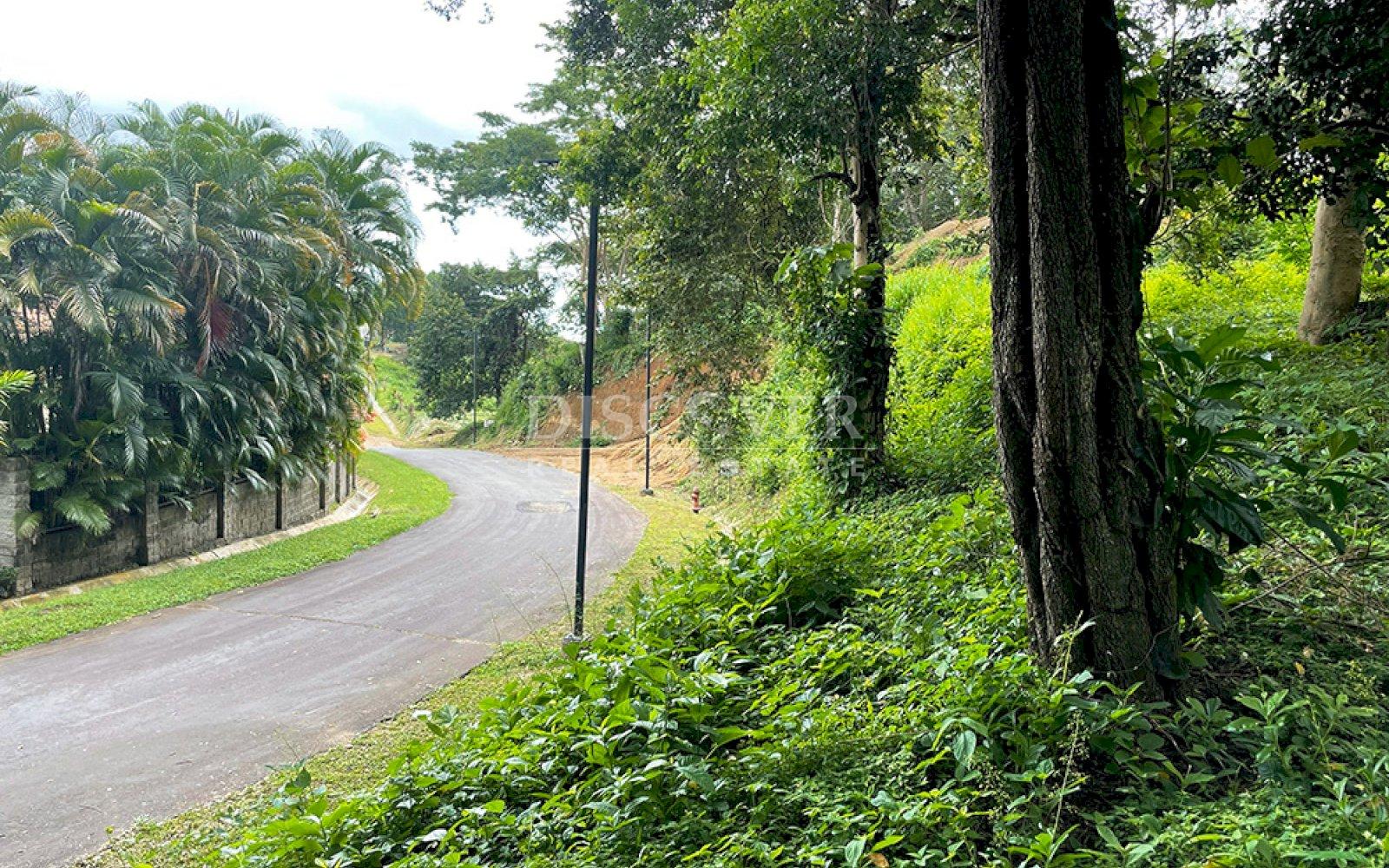 https://images.discovernica.com/propiedad/1600/ID2907_3.jpg