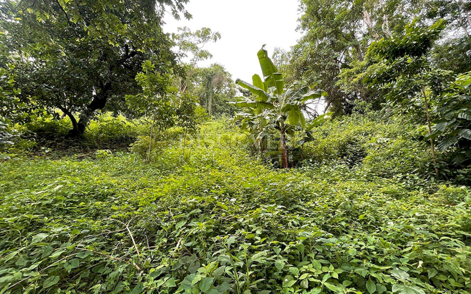 https://images.discovernica.com/propiedad/1600/ID2907_4.jpg