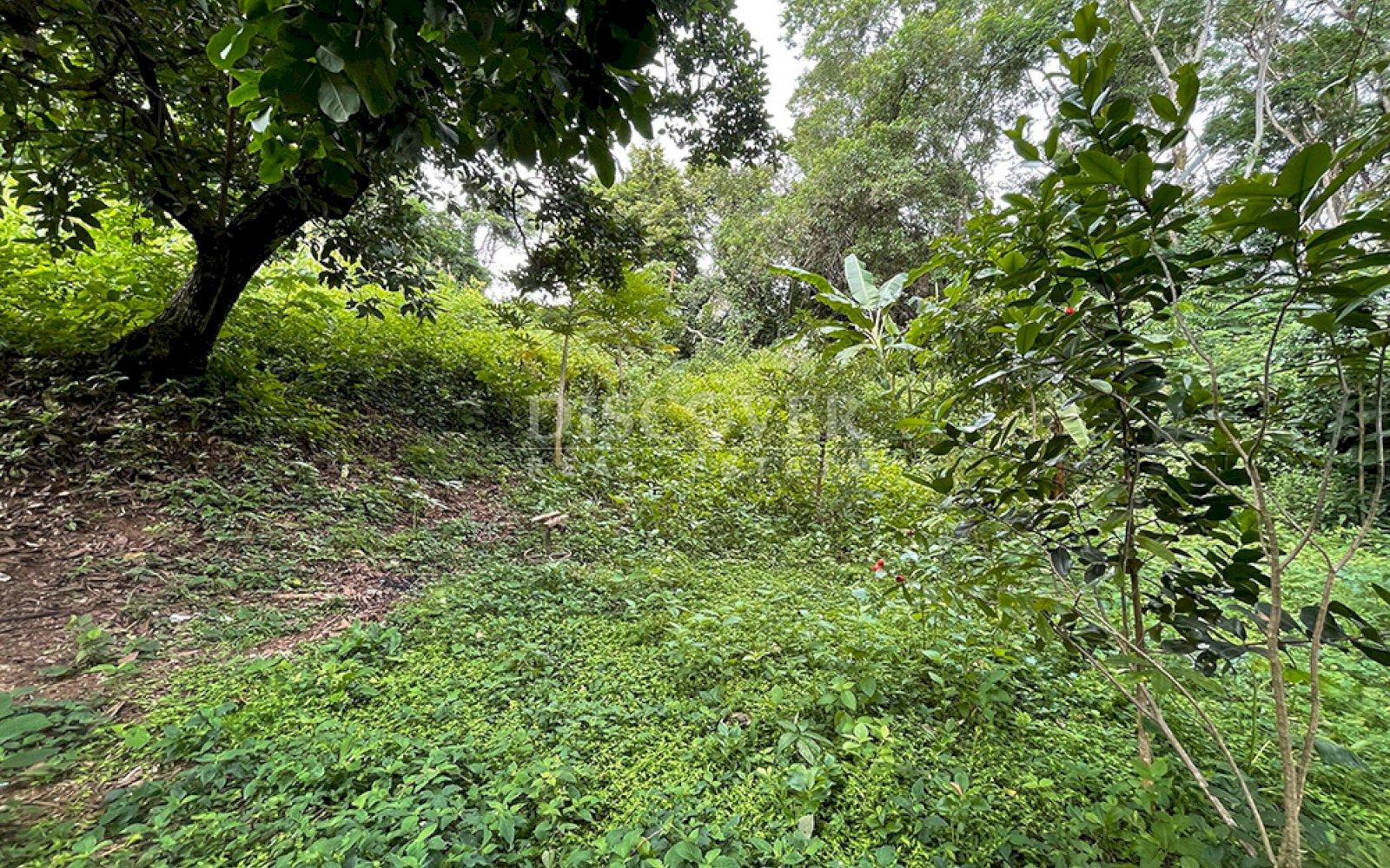 https://images.discovernica.com/propiedad/1600/ID2907_5.jpg
