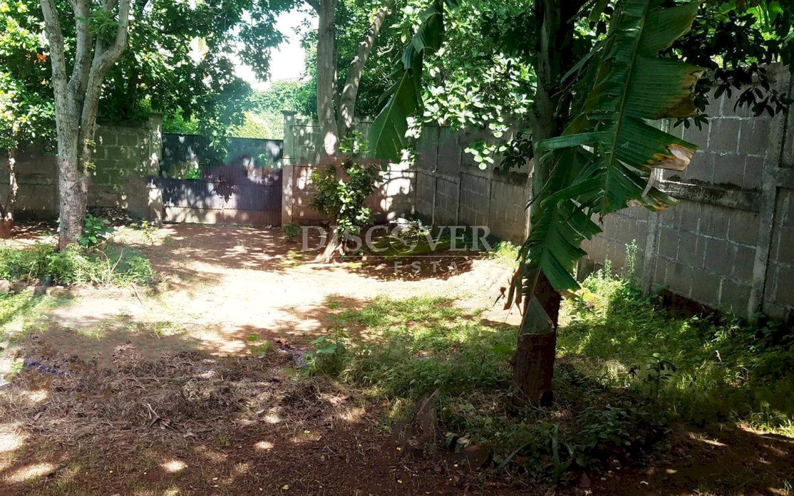 Imagen 3 de la galería