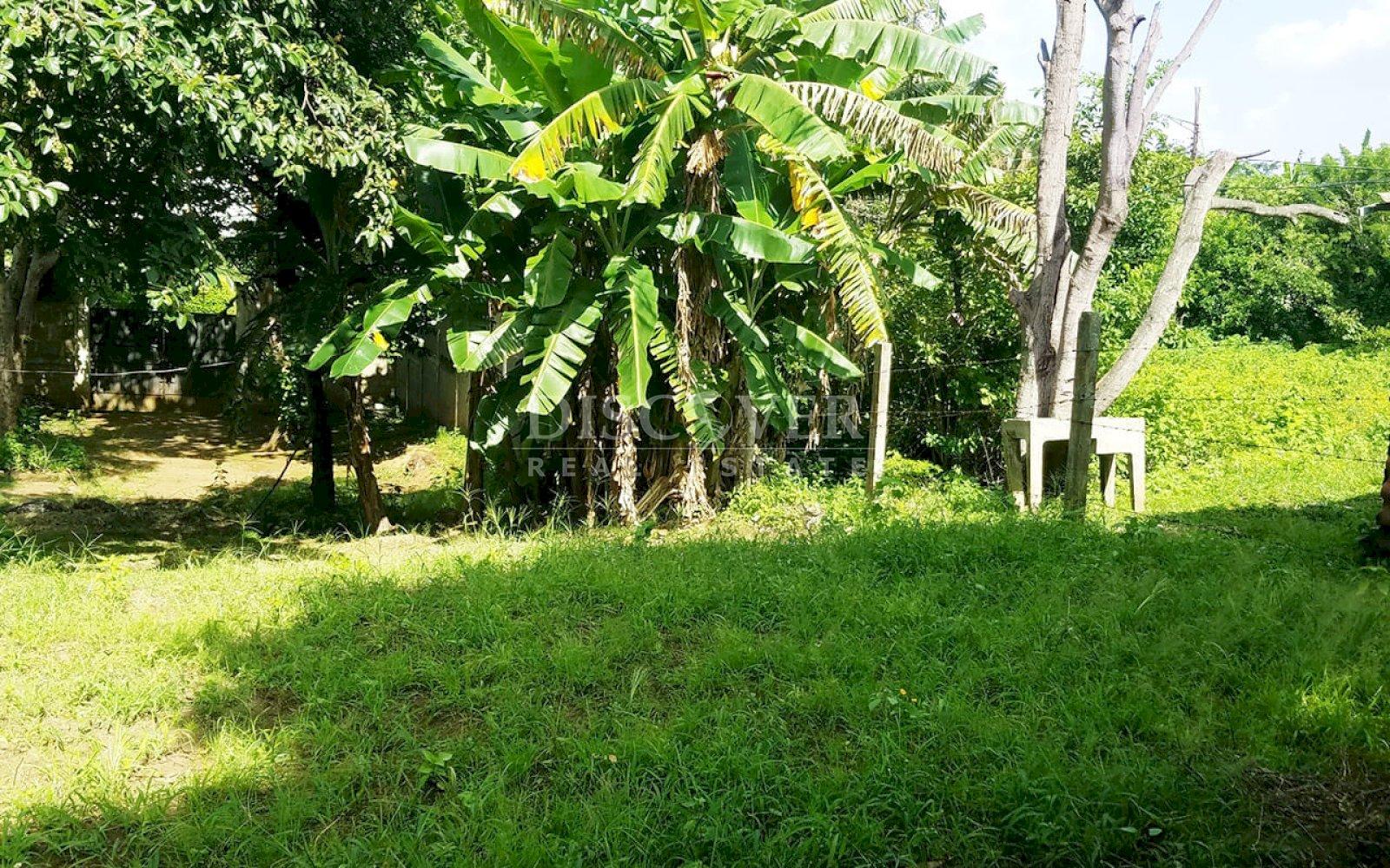 Imagen 4 de la galería