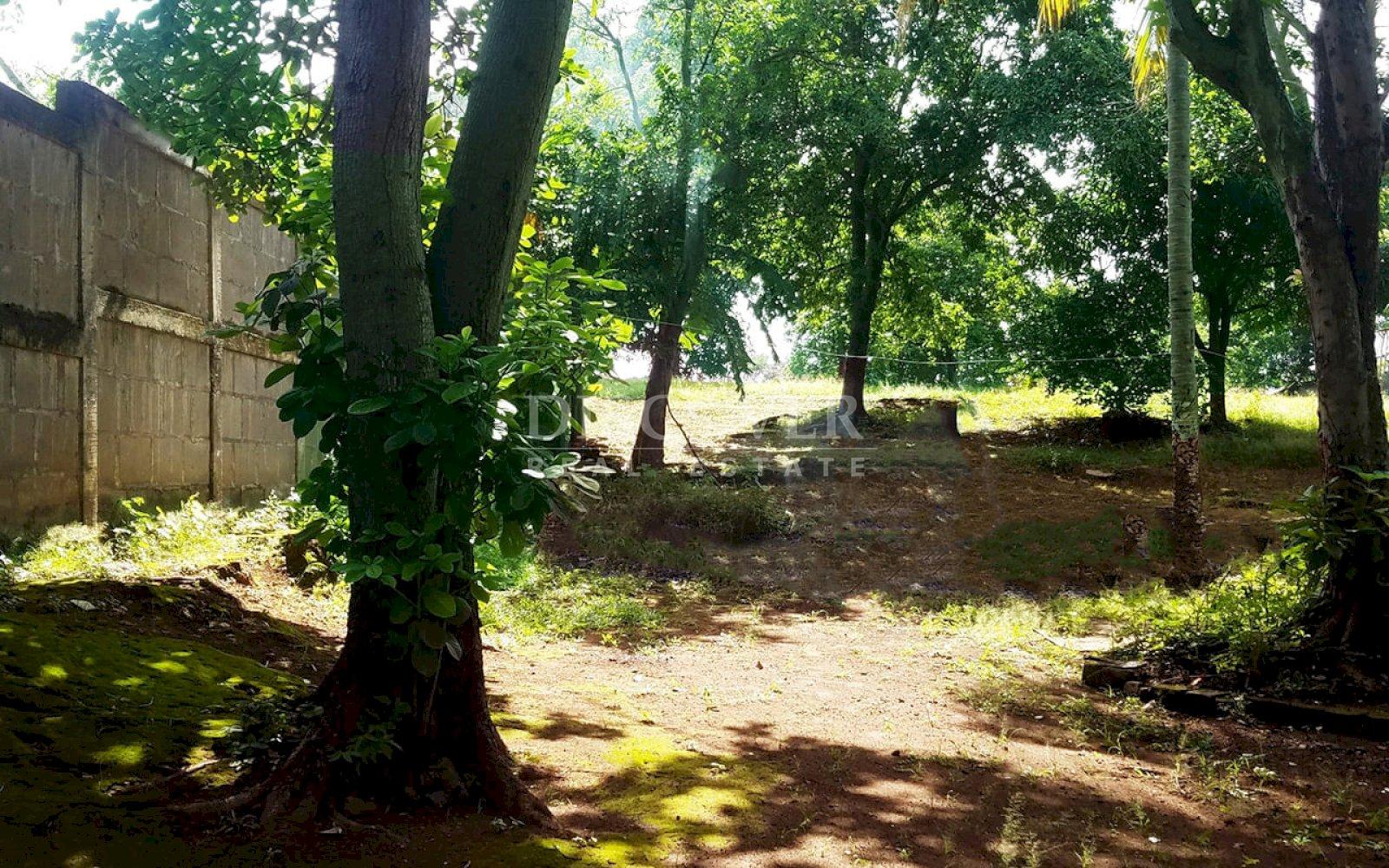 Imagen 5 de la galería